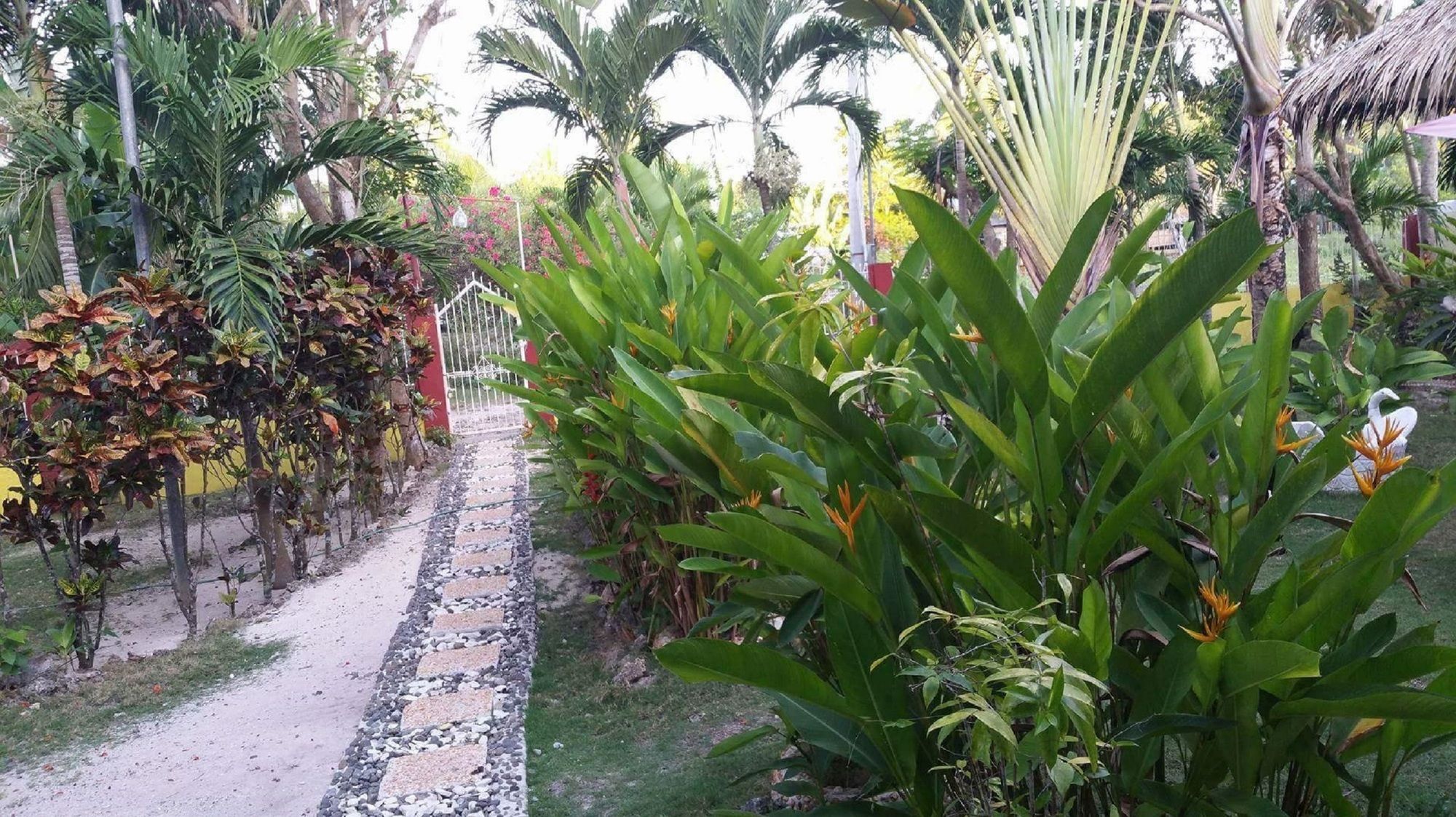 Traville Huts Palm Beach Inn Panglao Extérieur photo