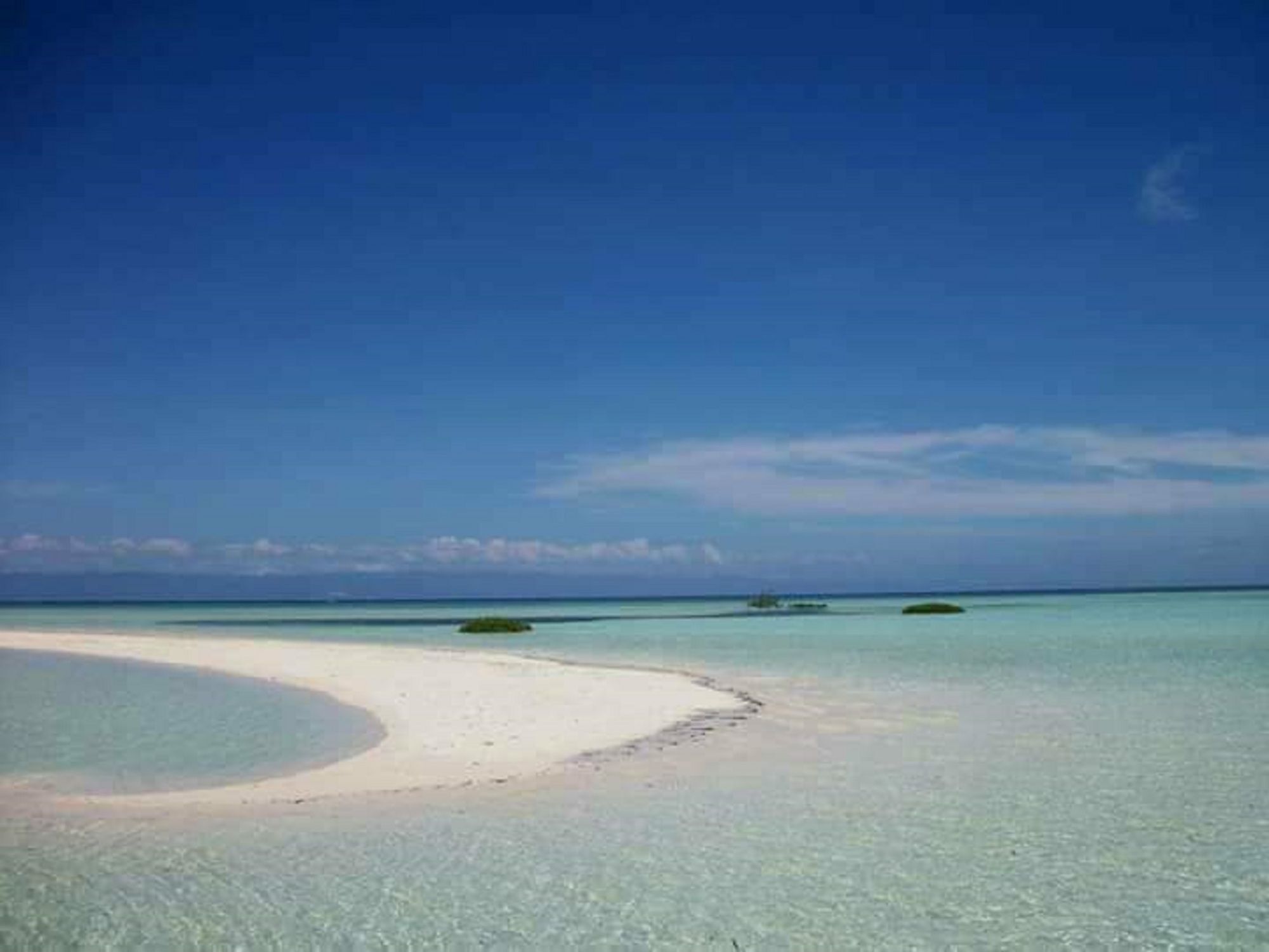 Traville Huts Palm Beach Inn Panglao Extérieur photo